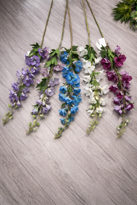 عرق زهرة البازيلا الصينية