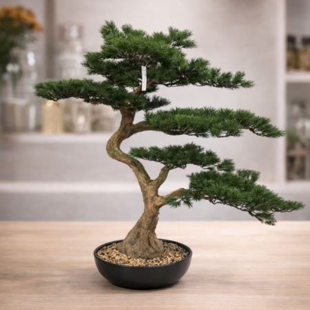 شجرة بونزاي مقزم 1.09 متر