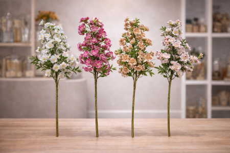 عرق زهرة الكرز مميز