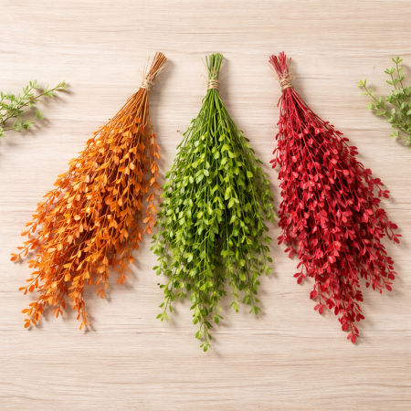 ضمة روسكوس صغير مجفف