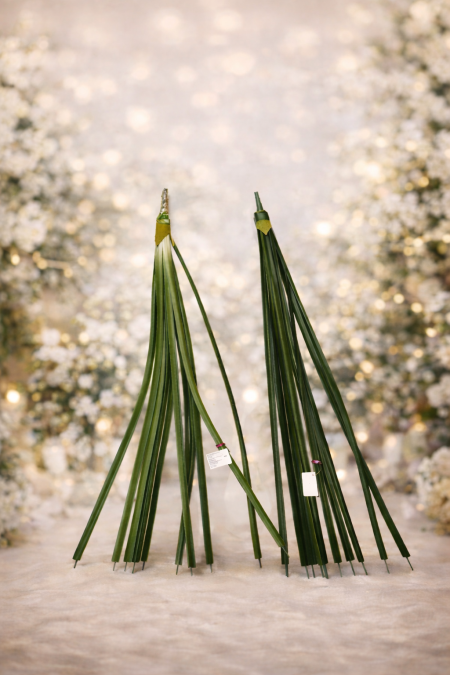 ضمة عروق خضار اصابع