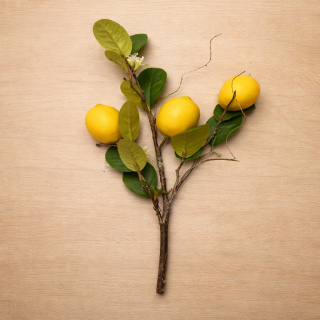 عرق فاكهة الليمون