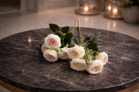 عرق زهرة الاوستن