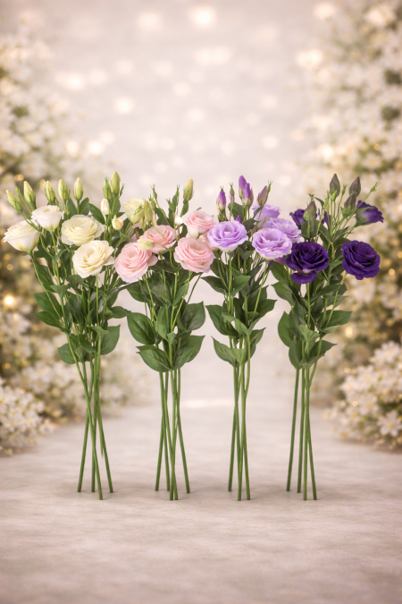 عرق لزيانتوس صناعي