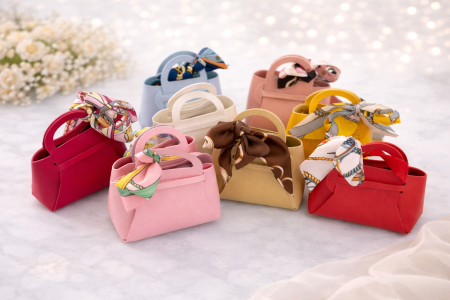 توزيعة شنطة جلدية بالوان عصرية