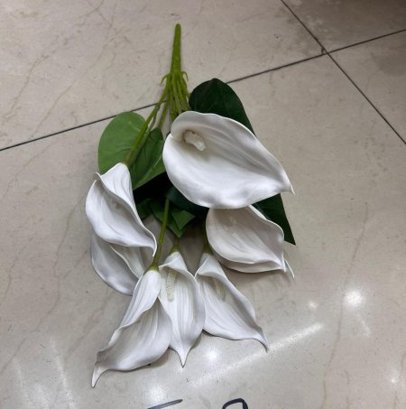 ضمة كالا حجم كبير 9 عروق