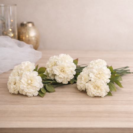 ضمة ورد اوف وايت