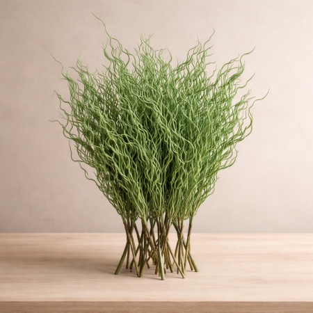 مداد خضار اسل الحلزوني