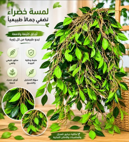 عرق مداد خضار شفليرا