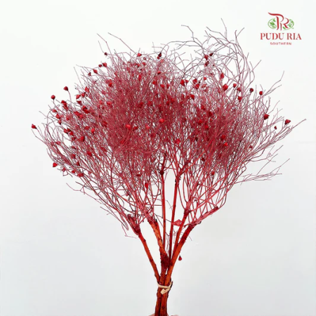 ضمة عشب طبيعي مجفف