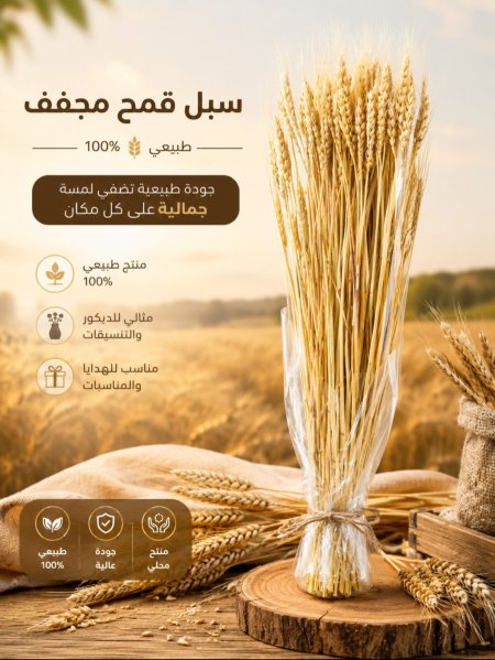 سبل قمح طبيعي مجفف
