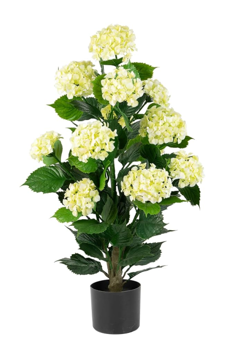 شجرة الكوبيه