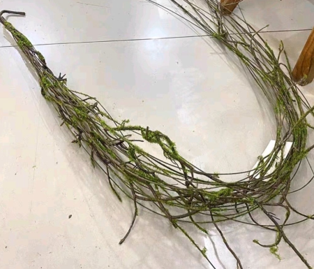 مداد خضار طحالب ناعم