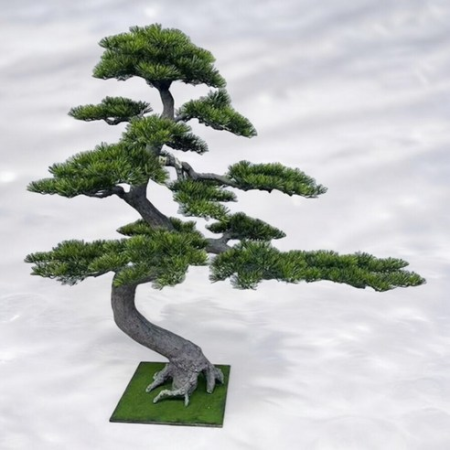 شجرة بونساي حجم كبير