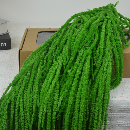 مداد احبال خضار فاخرة