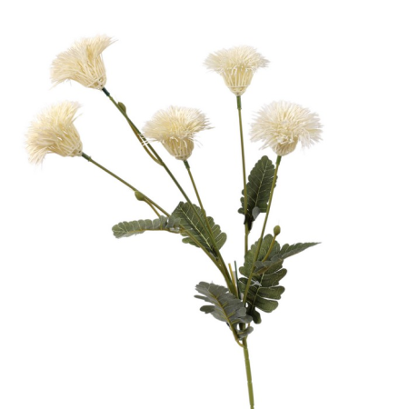 عرق زهرة الاوتمن الصناعي