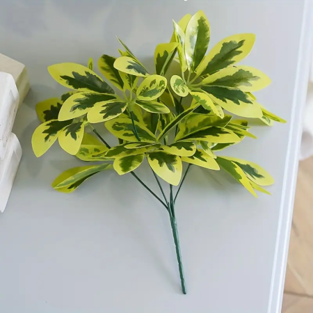 ضمة خضار شيفليرا