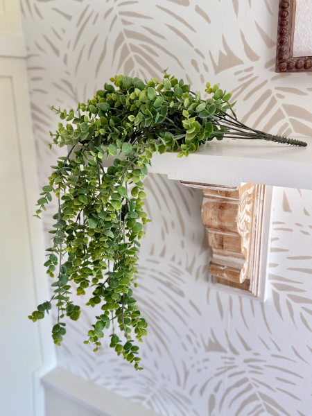 مداد خضار كلبتوس