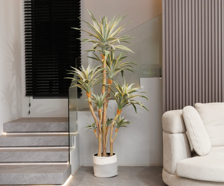 شجرة دراكاينا صناعية جودة عالية