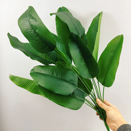 ضمة شتلة الموز