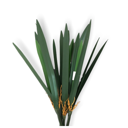 ضمة اوراق اوركيد سيمبيديوم