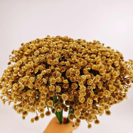 ضمة اكسسوار جيبسوفيليا ذهبي